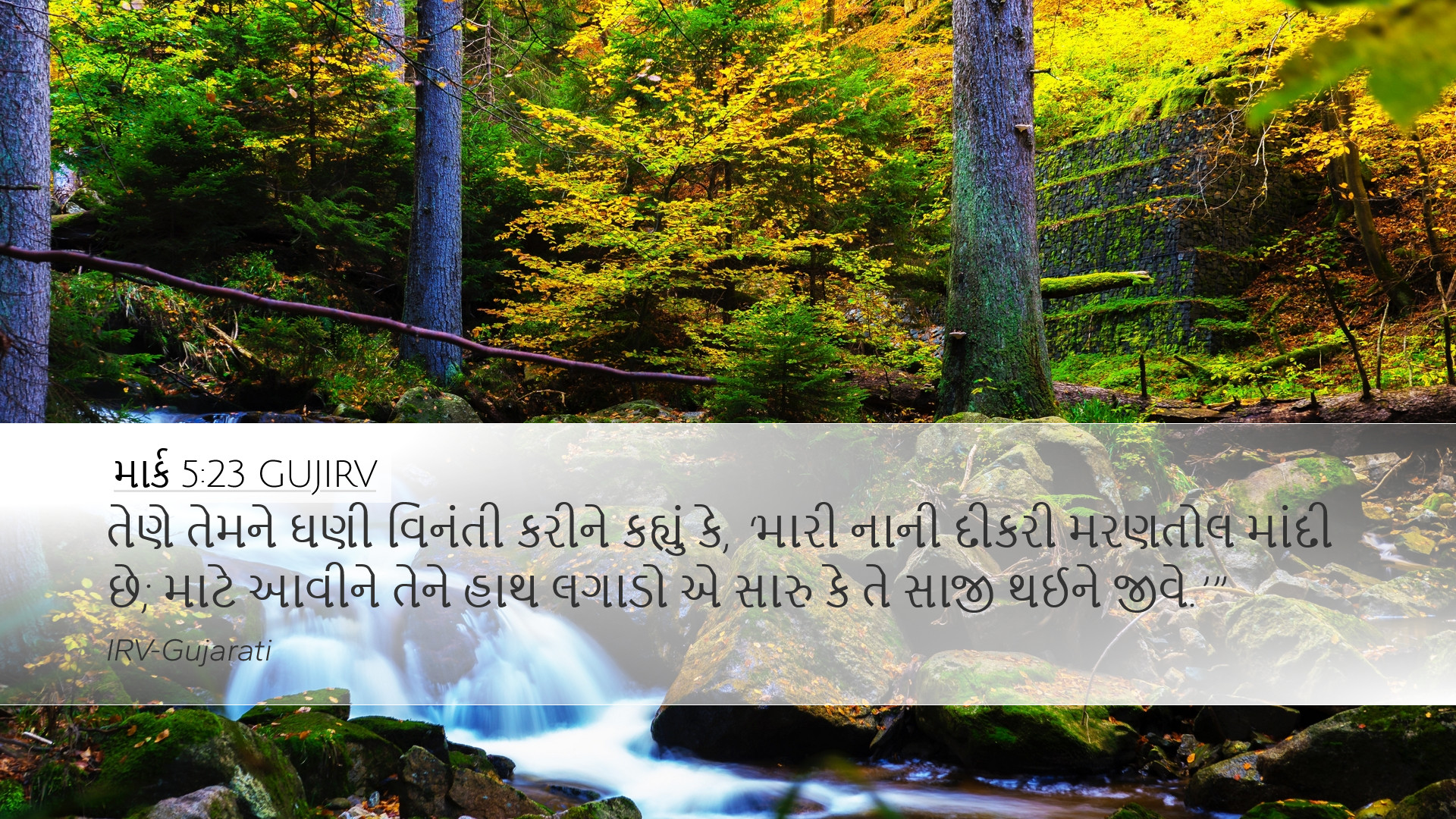 માર્ક 5:23 GUJIRV Desktop Wallpaper - તેણે તેમને ઘણી