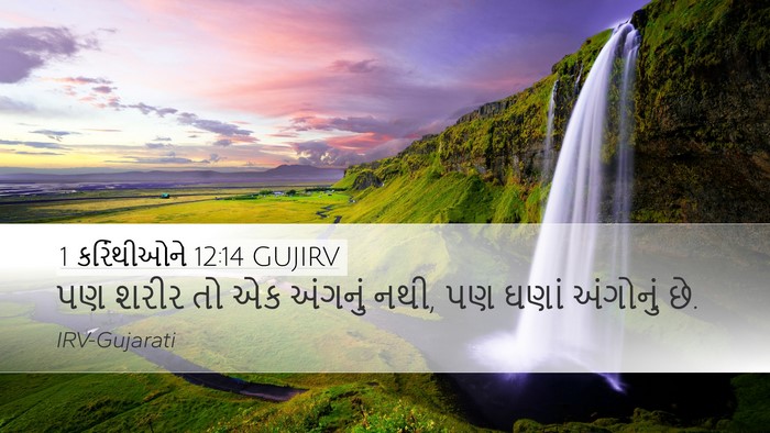 1 કરિંથીઓને 12:14 GUJIRV Bible Verse Image