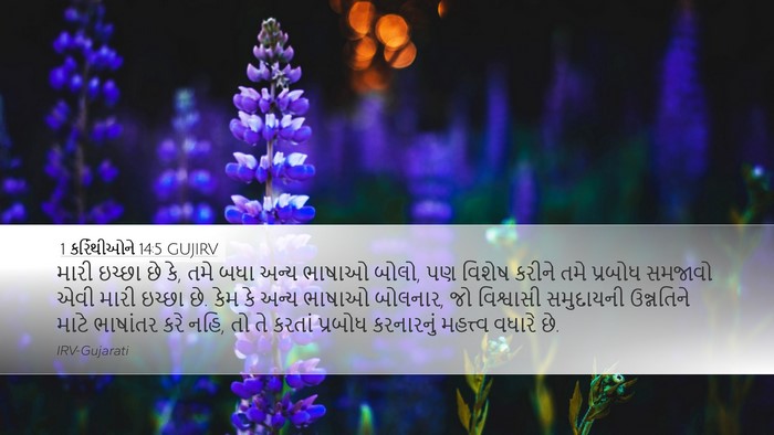 1 કરિંથીઓને 14:5 GUJIRV Bible Verse Image