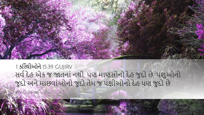 1 કરિંથીઓને 15:39 GUJIRV Bible Verse Image