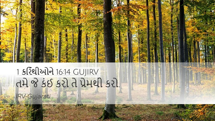 1 કરિંથીઓને 16:14 GUJIRV Bible Verse Image
