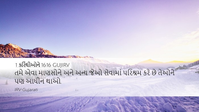 1 કરિંથીઓને 16:16 GUJIRV Desktop Wallpaper - તમે એવા માણસોને - Desktop Bible Verse Wallpaper