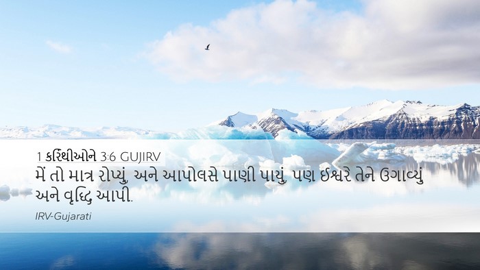 1 કરિંથીઓને 3:6 GUJIRV Bible Verse Image