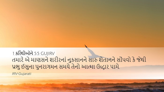 1 કરિંથીઓને 5:5 GUJIRV Bible Verse Image