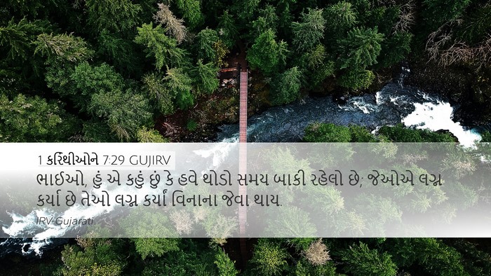 1 કરિંથીઓને 7:29 GUJIRV Bible Verse Image