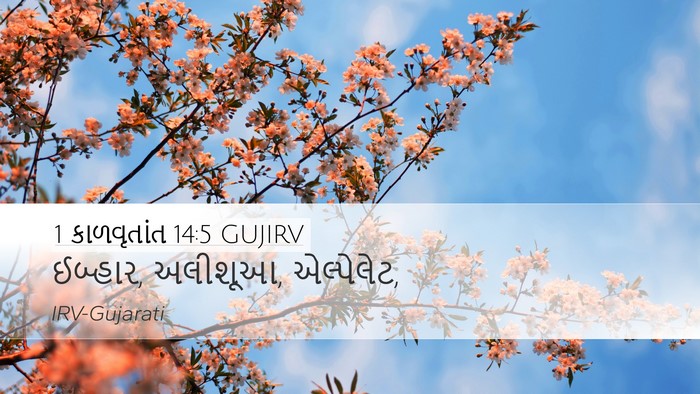 1 કાળવૃતાંત 14:5 GUJIRV Bible Verse Image