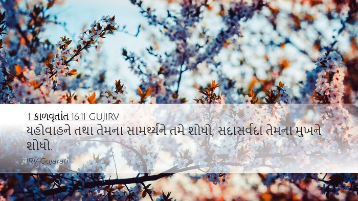 1 કાળવૃતાંત 16:11 GUJIRV Bible Verse Image