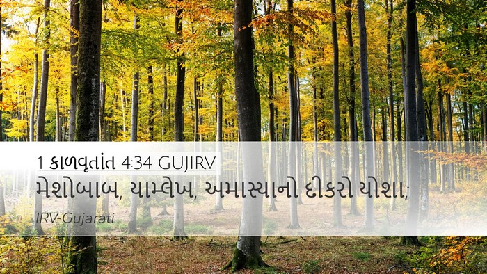 1 કાળવૃતાંત 4:34 GUJIRV Desktop Wallpaper - મેશોબાબ, યામ્લેખ, - Desktop Bible Verse Wallpaper