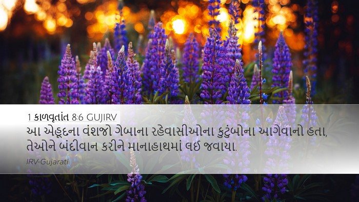 1 કાળવૃતાંત 8:6 GUJIRV Desktop Wallpaper - આ એહૂદના વંશજો - Desktop Bible Verse Wallpaper