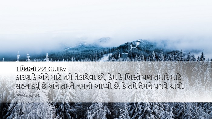1 પિતરનો 2:21 GUJIRV Bible Verse Image
