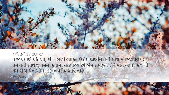 1 પિતરનો 3:7 GUJIRV Bible Verse Image