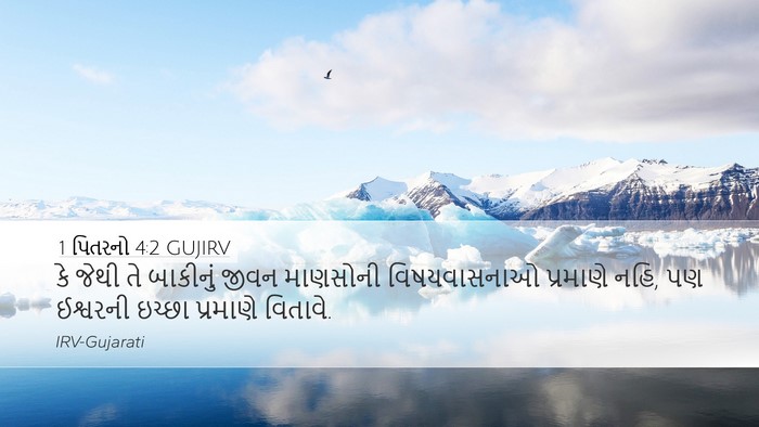 1 પિતરનો 4:2 GUJIRV Bible Verse Image