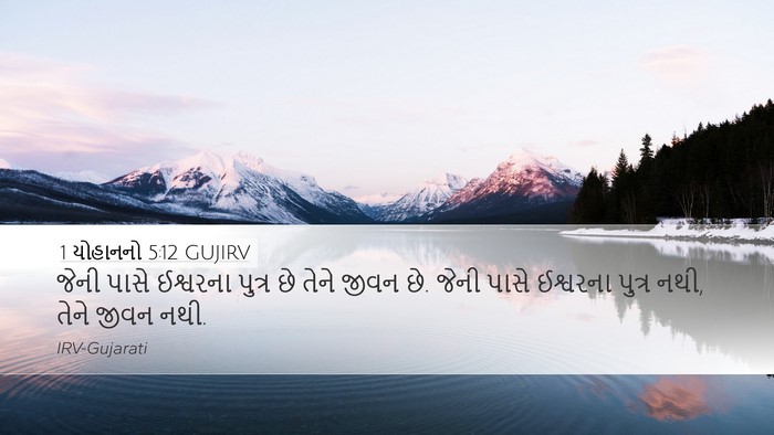 1 યોહાનનો 5:12 GUJIRV Bible Verse Image
