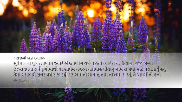 1 રાજાઓ 14:21 GUJIRV Bible Verse Image