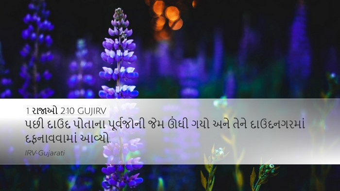 1 રાજાઓ 2:10 GUJIRV Bible Verse Image