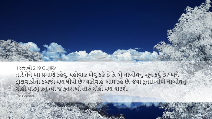 1 રાજાઓ 21:19 GUJIRV Bible Verse Image