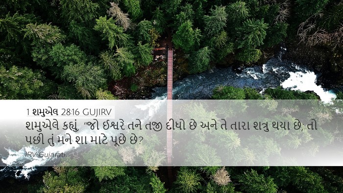 1 શમુએલ 28:16 GUJIRV Desktop Wallpaper - શમુએલે કહ્યું, “જો - Desktop Bible Verse Wallpaper
