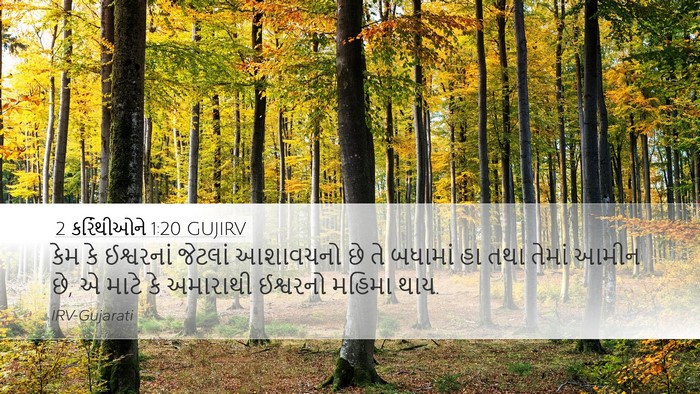 2 કરિંથીઓને 1:20 GUJIRV Bible Verse Image