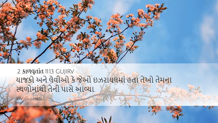 2 કાળવૃતાંત 11:13 GUJIRV Bible Verse Image