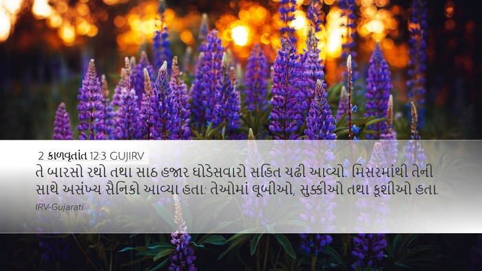 2 કાળવૃતાંત 12:3 GUJIRV Bible Verse Image