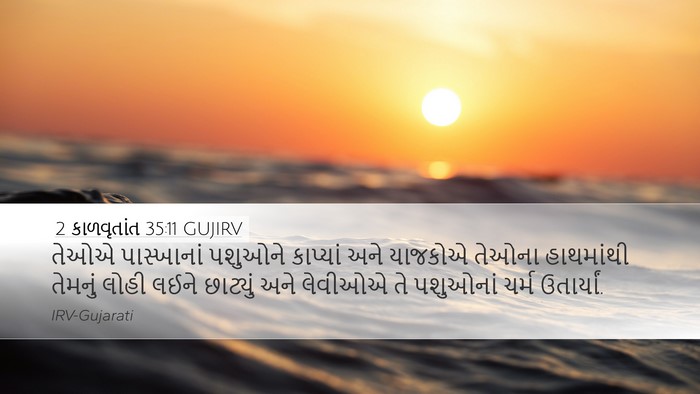 2 કાળવૃતાંત 35:11 GUJIRV Bible Verse Image