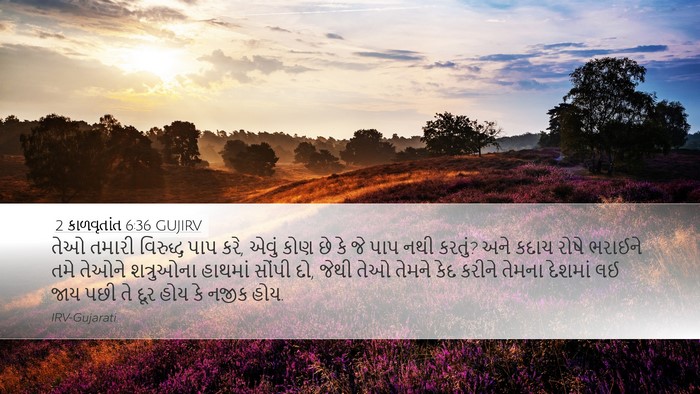2 કાળવૃતાંત 6:36 GUJIRV Bible Verse Image