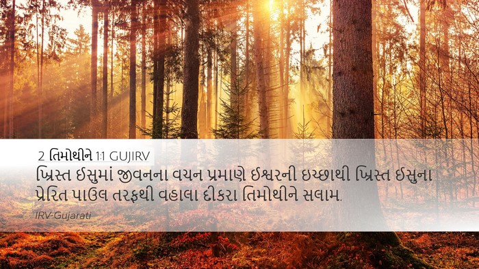 2 તિમોથીને 1:1 GUJIRV Desktop Wallpaper - ખ્રિસ્ત ઈસુમાં - Desktop Bible Verse Wallpaper