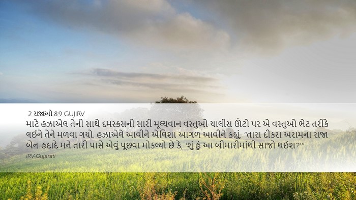 2 રાજાઓ 8:9 GUJIRV Bible Verse Image
