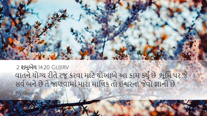 2 શમુએલ 14:20 GUJIRV Bible Verse Image