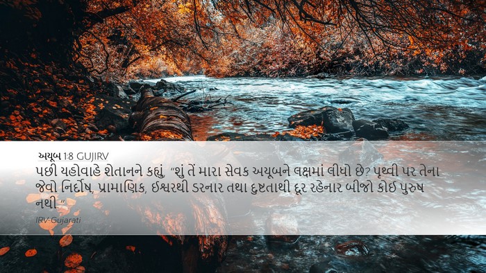અયૂબ 1:8 GUJIRV Bible Verse Image