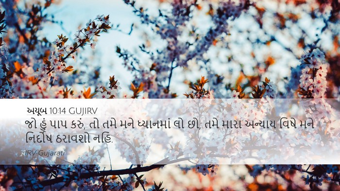 અયૂબ 10:14 GUJIRV Bible Verse Image