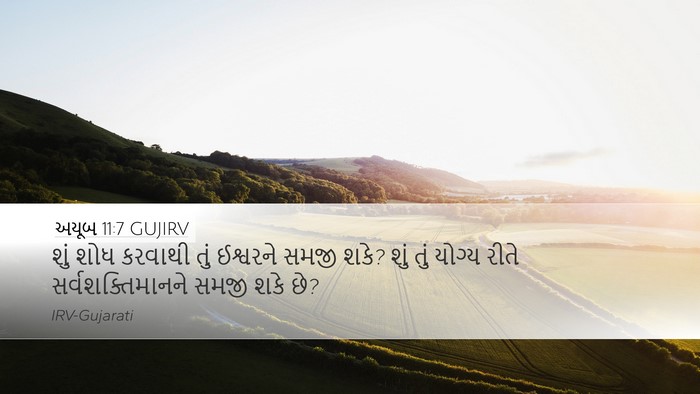 અયૂબ 11:7 GUJIRV Bible Verse Image