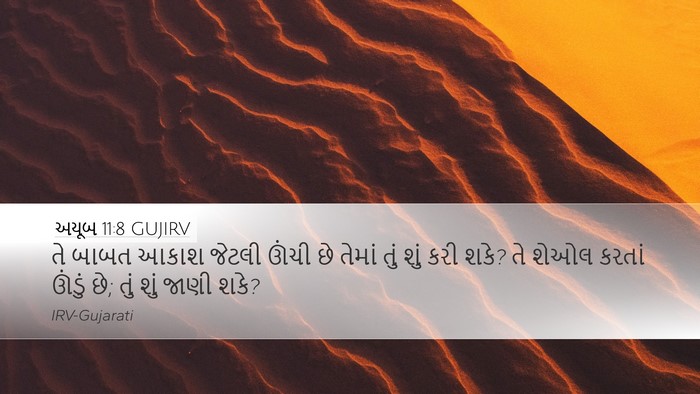 અયૂબ 11:8 GUJIRV Bible Verse Image