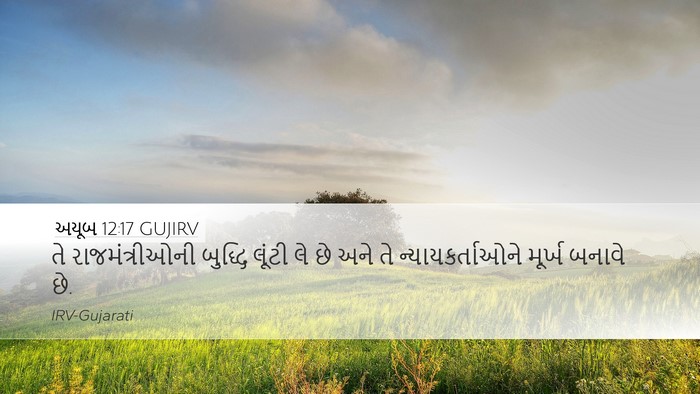 અયૂબ 12:17 GUJIRV Bible Verse Image