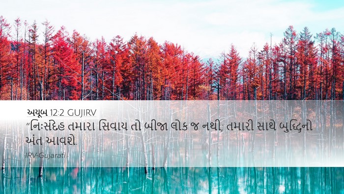 અયૂબ 12:2 GUJIRV Bible Verse Image
