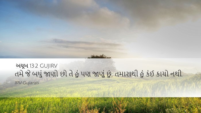 અયૂબ 13:2 GUJIRV Bible Verse Image