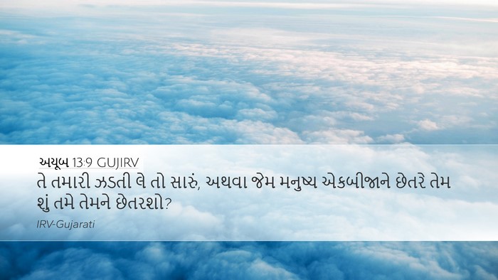 અયૂબ 13:9 GUJIRV Bible Verse Image