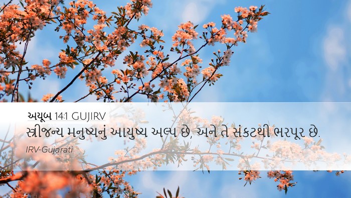 અયૂબ 14:1 GUJIRV Bible Verse Image