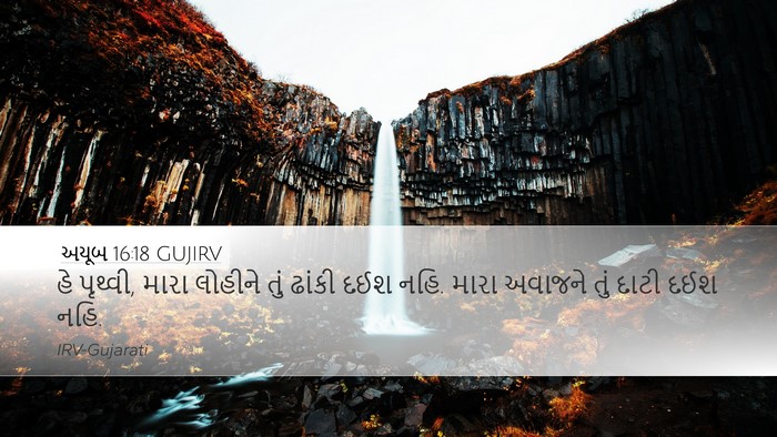 અયૂબ 16:18 GUJIRV Bible Verse Image