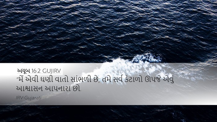 અયૂબ 16:2 GUJIRV Bible Verse Image