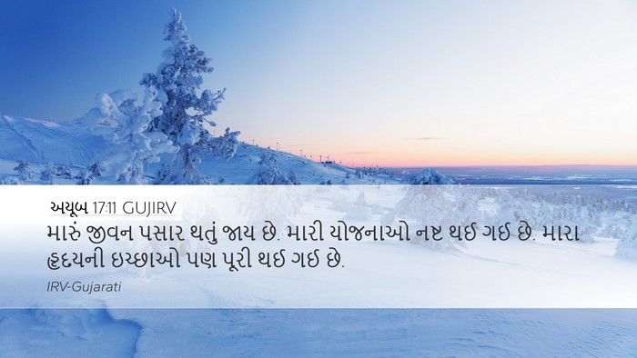 અયૂબ 17:11 GUJIRV Bible Verse Image