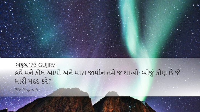 અયૂબ 17:3 GUJIRV Bible Verse Image