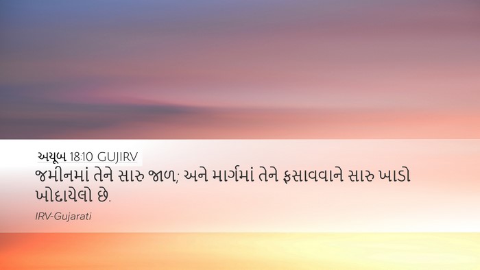 અયૂબ 18:10 GUJIRV Desktop Wallpaper - જમીનમાં તેને સારુ - Desktop Bible Verse Wallpaper