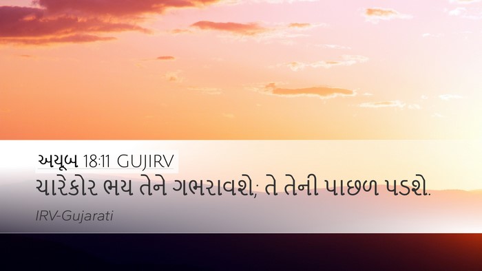 અયૂબ 18:11 GUJIRV Bible Verse Image