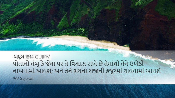 અયૂબ 18:14 GUJIRV Bible Verse Image