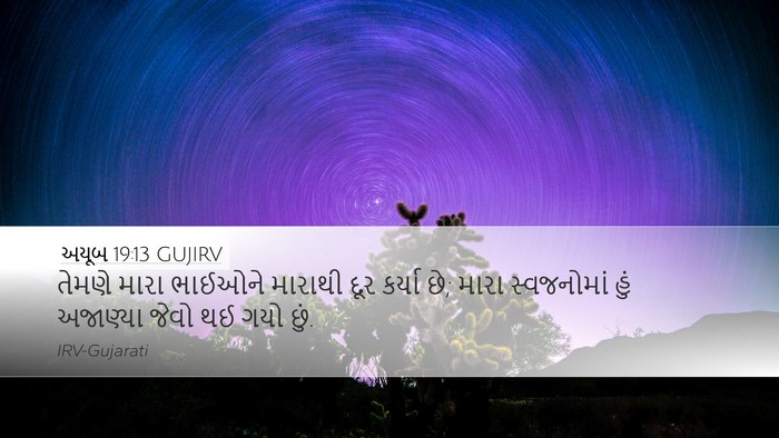 અયૂબ 19:13 GUJIRV Bible Verse Image