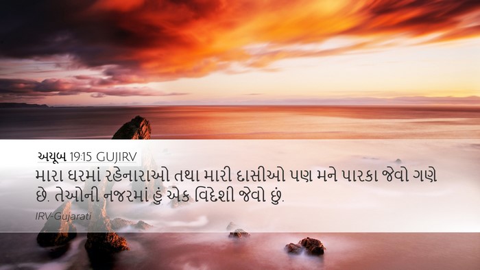 અયૂબ 19:15 GUJIRV Desktop Wallpaper - મારા ઘરમાં - Desktop Bible Verse Wallpaper