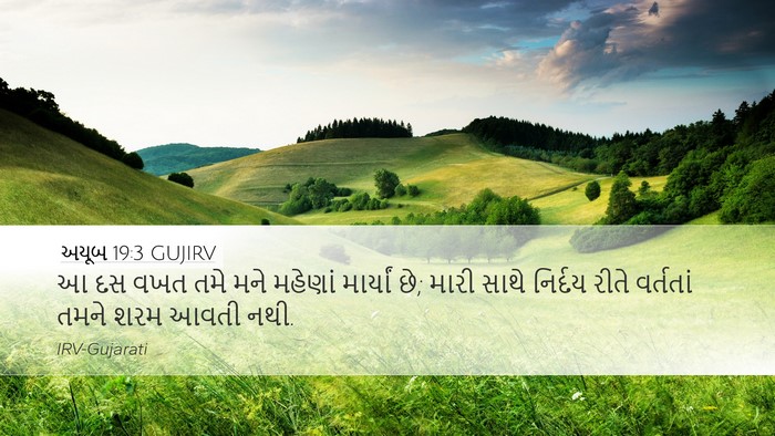 અયૂબ 19:3 GUJIRV Bible Verse Image