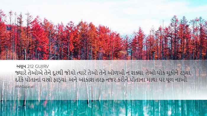 અયૂબ 2:12 GUJIRV Bible Verse Image