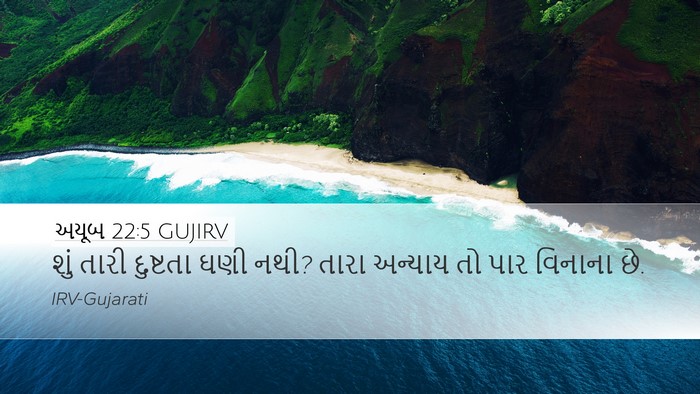 અયૂબ 22:5 GUJIRV Bible Verse Image